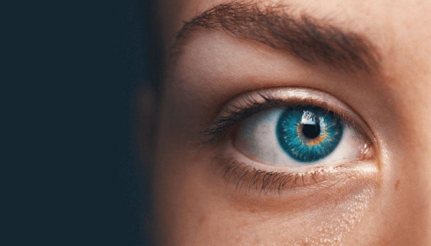 کار بر روی نظریه دیدن